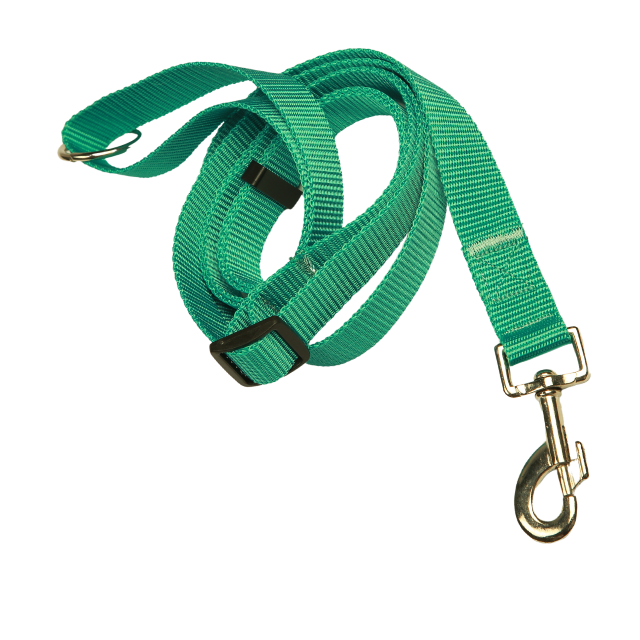 Adjustable Dog leash 4ft-8t