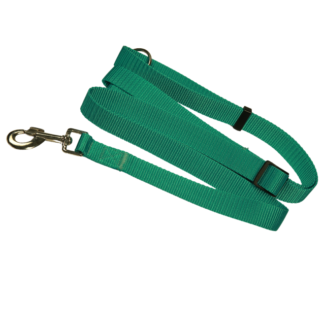 Adjustable Dog leash 4ft-8t