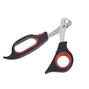 Pet Nail Cutter Scissor - Premium Stainless Steel Clippers for Precise Pet Grooming for Large Dogs, Cats, Puppies, and Kittens