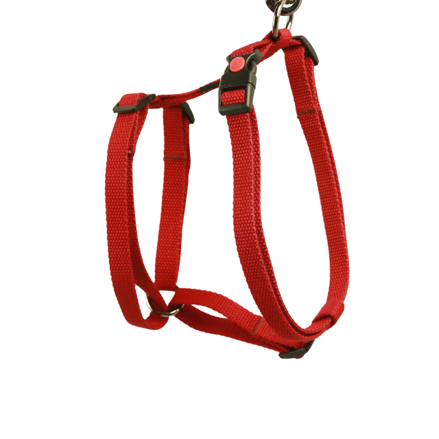 Dog harness H model cotton finish