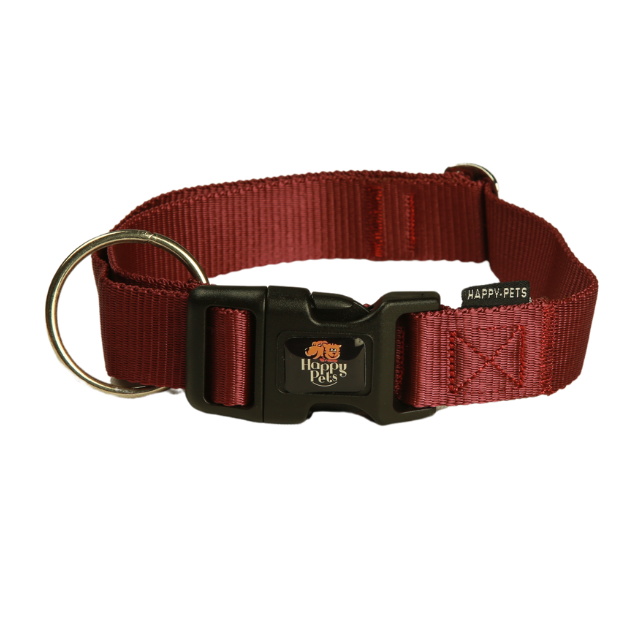 Classic Reinforced O-Ring Dog Collar-Grey