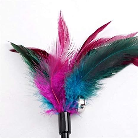 Cat Spring Treaser, Feather Dangler Wand, Interactive Stick Toy for Cats & Kittens