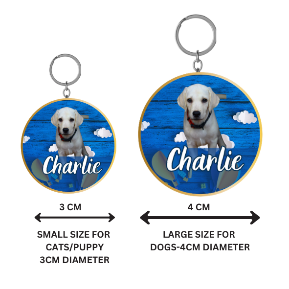 Personalised Pet Tag