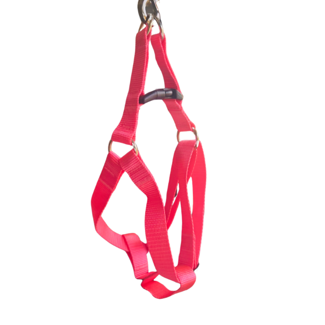 Dog harness stepin model-maroon colour