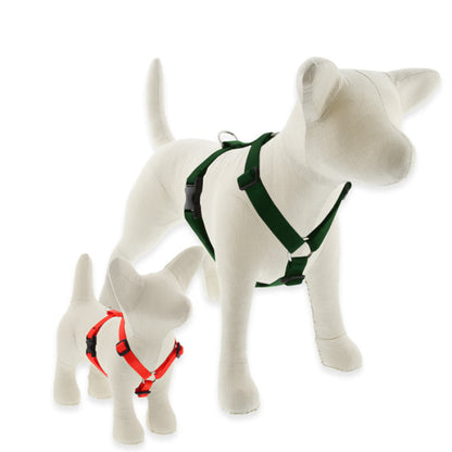 Rockstar Dog harness H model